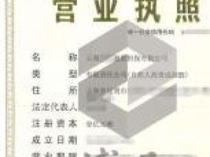 企業注冊與法律咨詢服務全攻略 深圳執照、區塊鏈執照、商業保理執照及重慶法律商務咨詢解析